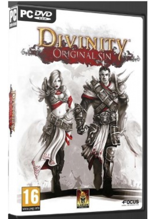 Divinity Original Sin PC (Used)