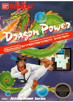 Dragon Power NES (Used)