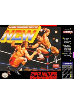 Natsume Championship Wrestling SNES (Used)