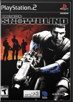 Project - Snowblind PS2 (Used)