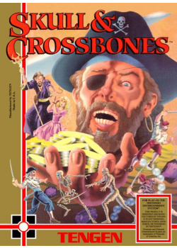 Skull & Crossbones NES (Used)