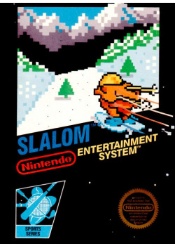 Slalom NES (Used)