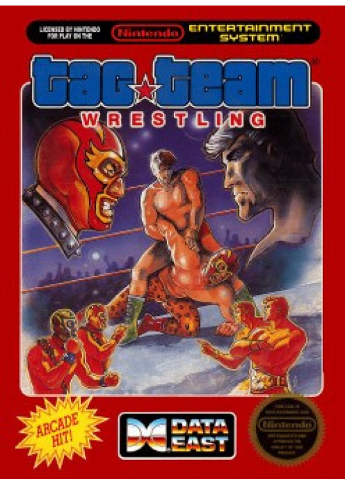 Tag Team Wrestling NES (Used)
