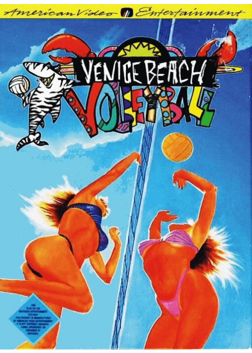 Venice Beach Volleyball NES (Used)