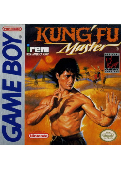 Kung-Fu Master Game Boy (Game+manual only) (Used)