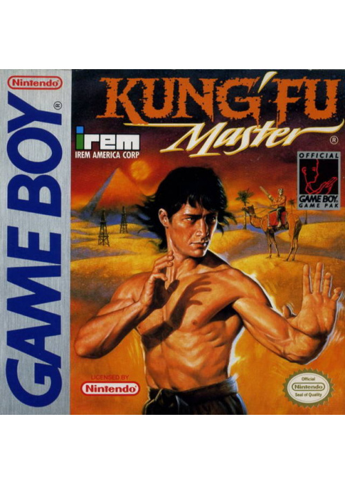 Kung-Fu Master Game Boy (Game+manual only) (Used)