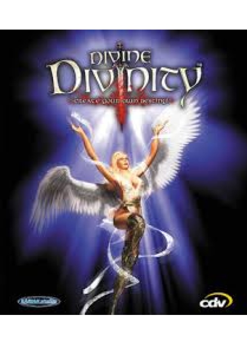 Divine Divinity - Create Your Own Destiny PC (Used)