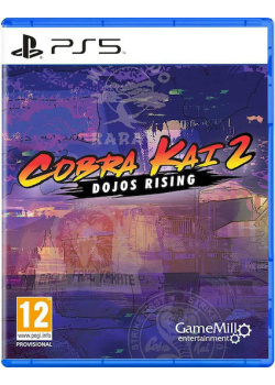 Cobra Kai 2 Dojos Rising PS5 NEW