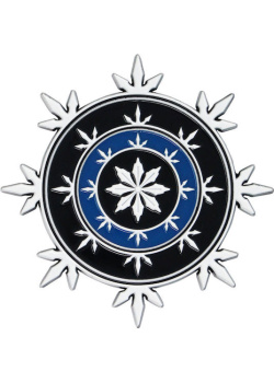 Dungeons  and  Dragons Limited Edition Neverwinter Heraldry Medallion Videogame NEW